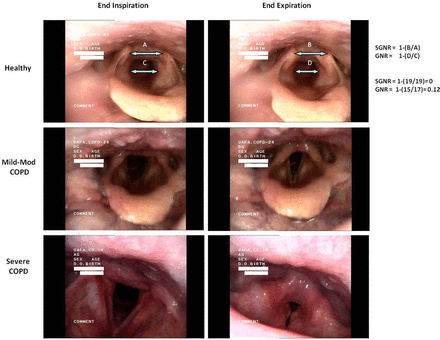 Figure 1