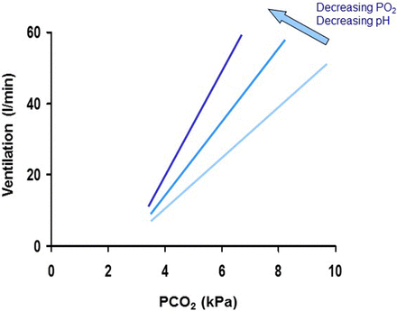 Figure 7