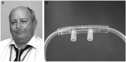 Figure 13