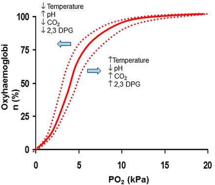 Figure 5